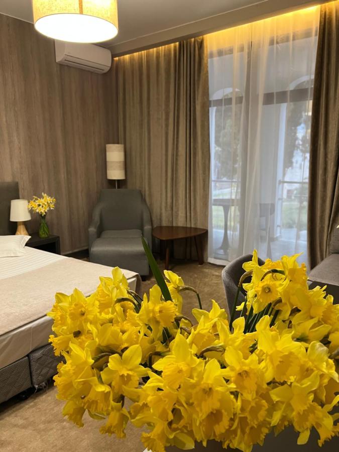 Abaash Hotel Afon New Athos エクステリア 写真